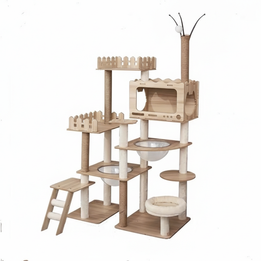 Arbre à chat - Cèdre