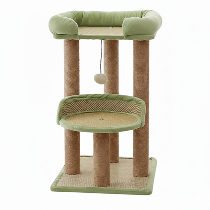 Arbre à chat - Nastra