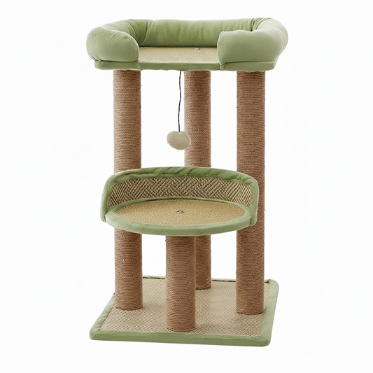 Arbre à chat - Nastra