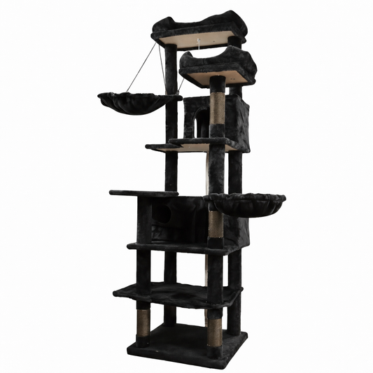 Arbre à chat - Nocterra