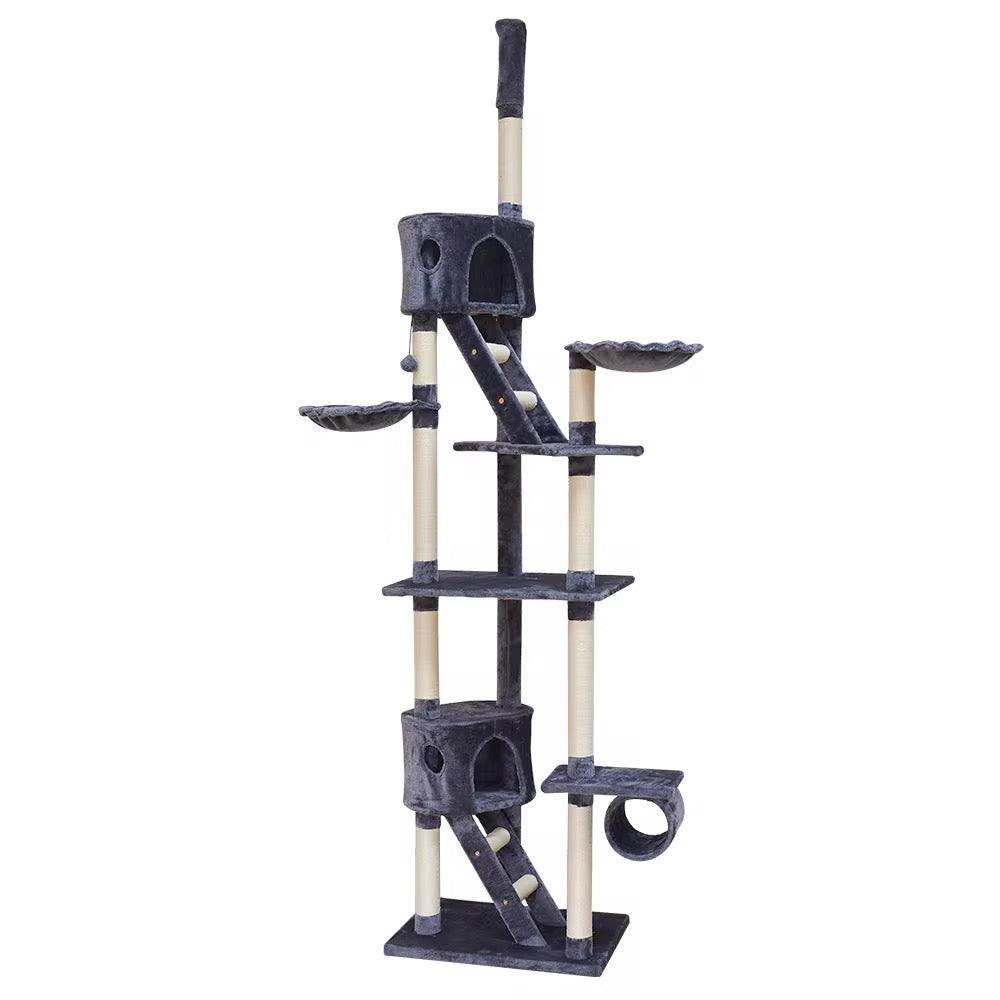 Arbre à chat - Panthéra