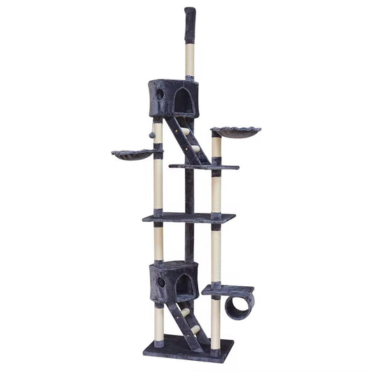 Arbre à chat - Panthéra